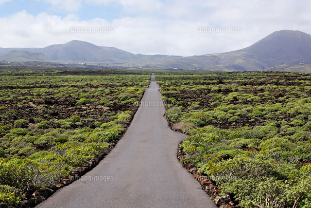 荒地の道 00293021619 の写真素材 イラスト素材 アマナイメージズ