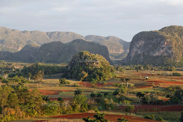 ビニャーレス渓谷の朝景 の写真素材 イラスト素材 アマナイメージズ