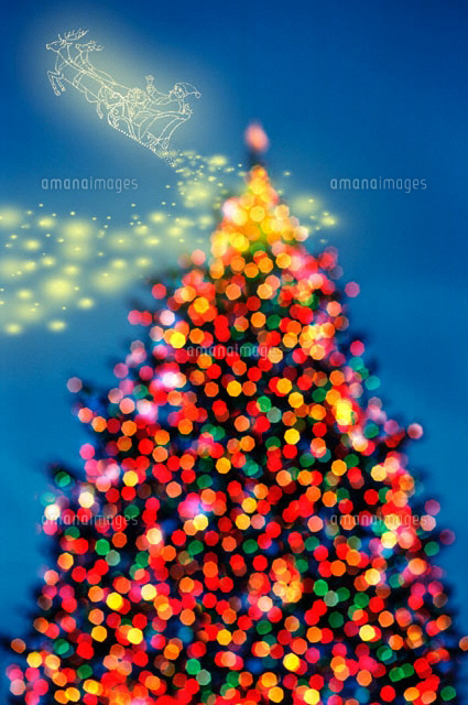 カラフルなツリーと空飛ぶサンタクロース[00299010319]の写真