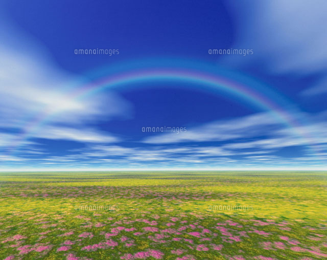 花畑と青空と虹 CG[00556010083]の写真・イラスト素材｜アマナイメージズ