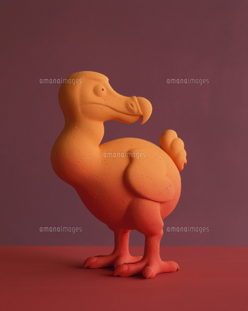 振り向く鳥のクラフト y の写真素材 イラスト素材 アマナイメージズ