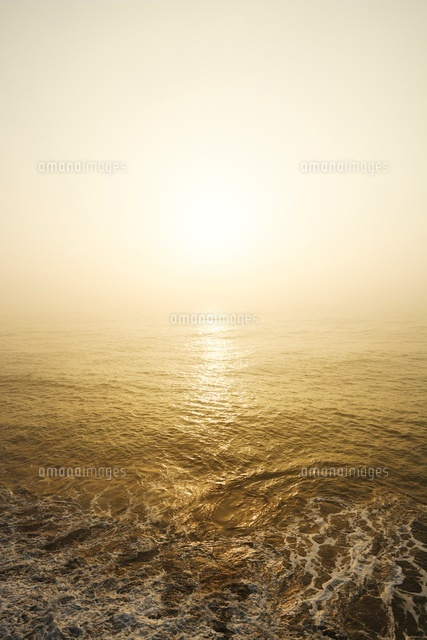 日の出に金色に染まる朝靄の海[00730011785]の写真・イラスト素材