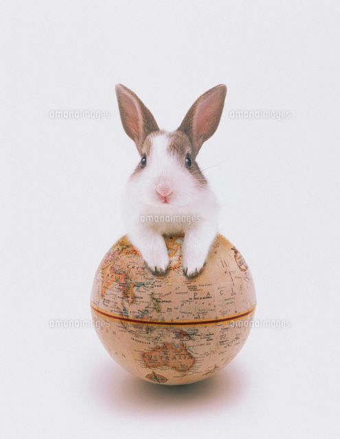 ｳｻｷﾞ ﾐﾆｳｻｷﾞ と地球儀 の写真素材 イラスト素材 アマナイメージズ