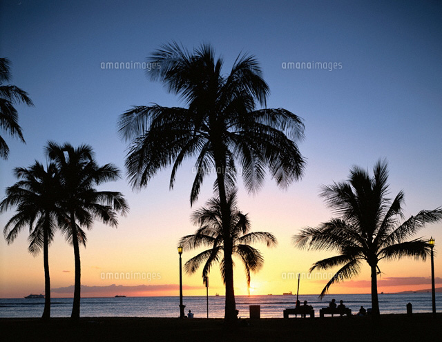 カピオラニパークの夕景 ハワイ の写真素材 イラスト素材 アマナイメージズ