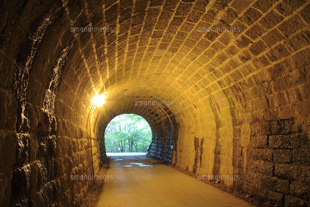 天城トンネル の写真素材 イラスト素材 アマナイメージズ