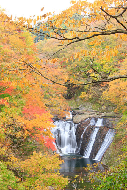 紅葉した生瀬滝 の写真素材 イラスト素材 アマナイメージズ