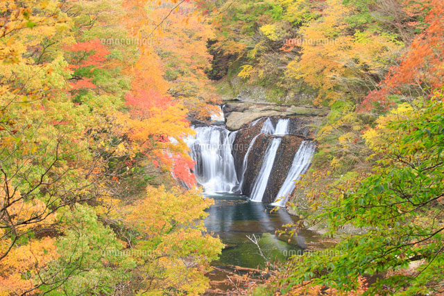 紅葉した生瀬滝 の写真素材 イラスト素材 アマナイメージズ