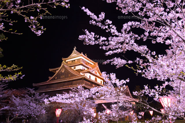 夜桜と城のスプレーアート原画 夜桜と城のスプレーアート原画 80c2a2fdaeafdc8c8a5b44e27a48a9