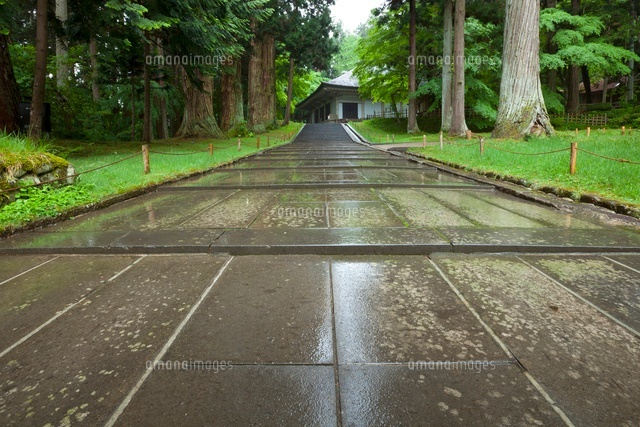 雨に濡れた中尊寺の金色堂への道 の写真素材 イラスト素材 アマナイメージズ 雨に濡れた中尊寺の金色堂への道 の写真素材 イラスト素材 アマナイメージズ