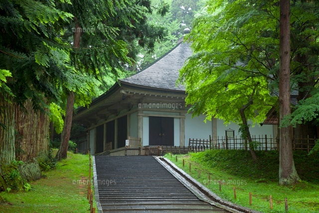 雨に濡れた中尊寺の金色堂 の写真素材 イラスト素材 アマナイメージズ