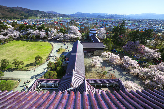 鶴ヶ城の天守閣から眺める桜 の写真素材 イラスト素材 アマナイメージズ
