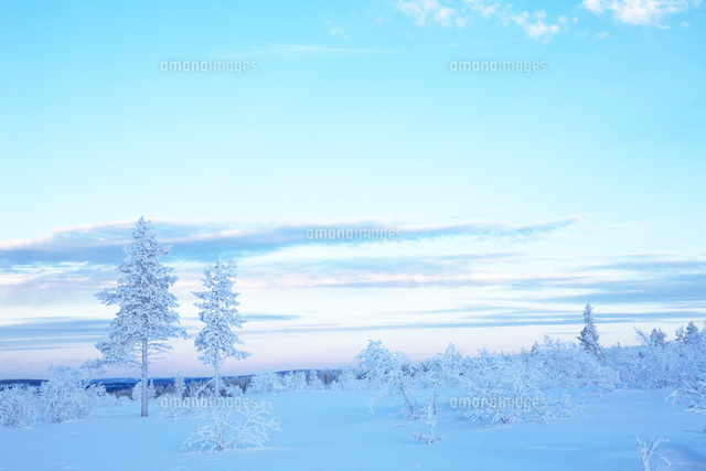 ポーラーナイト 極夜 の雪原と霧氷 の写真素材 イラスト素材 アマナイメージズ