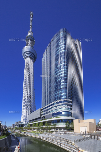 東京スカイツリーと東京スカイツリーイーストタワー の写真素材 イラスト素材 アマナイメージズ