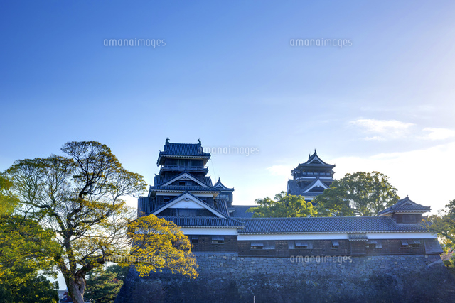 黄葉の熊本城と朝日 の写真素材 イラスト素材 アマナイメージズ
