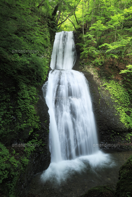 世立八滝の段々の滝[01010025239]の写真・イラスト素材｜アマナイメージズ
