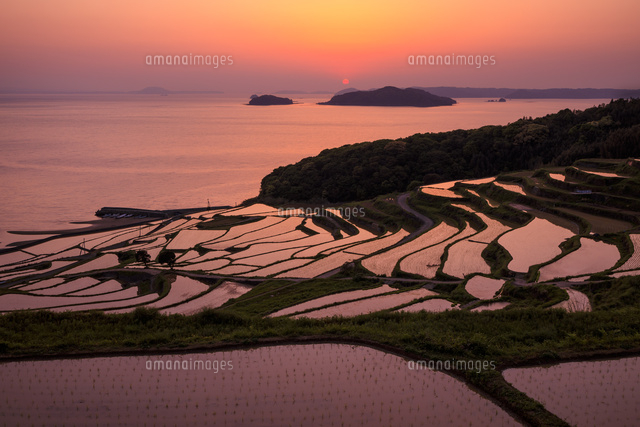 土谷棚田の夕暮れ[01010028053]の写真・イラスト素材｜アマナイメージズ