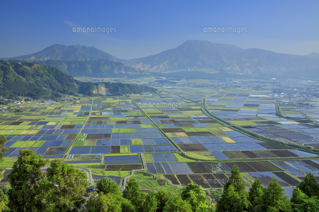 阿蘇の水田と阿蘇山 の写真素材 イラスト素材 アマナイメージズ