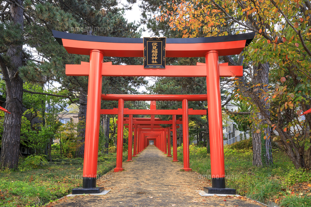 札幌伏見稲荷神社 の写真素材 イラスト素材 アマナイメージズ