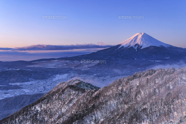 朝日に照らされた三ツ峠の霧氷と富士山[01010042438]の写真・イラスト
