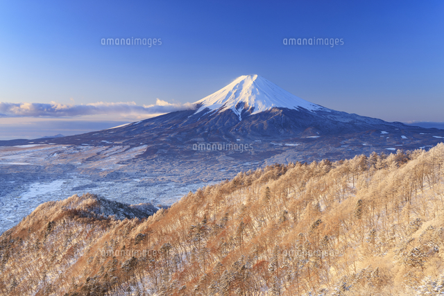 朝日に照らされた三ツ峠の霧氷と富士山[01010042438]の写真・イラスト