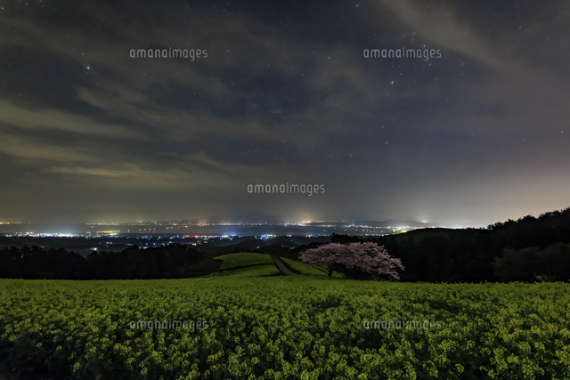 ぷうあさま専用 （原画）夜空に咲く花 ほか　5点おまとめ 菜の花と桜咲く白木峰高原と星空[01010045768]の写真・イラスト素材