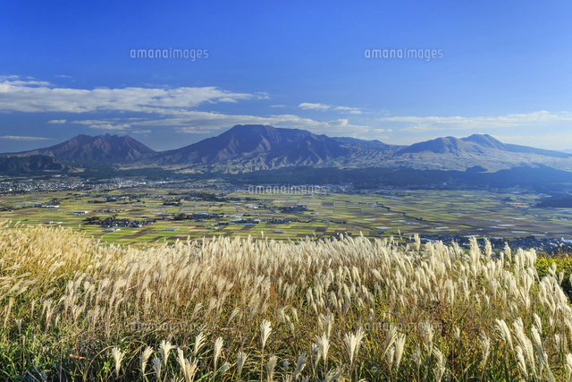 大観峰から望む阿蘇山とススキの夕暮れ[01010047964]の写真・イラスト