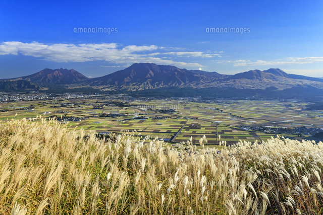 大観峰から望む阿蘇山とススキの夕暮れ[01010047964]の写真・イラスト
