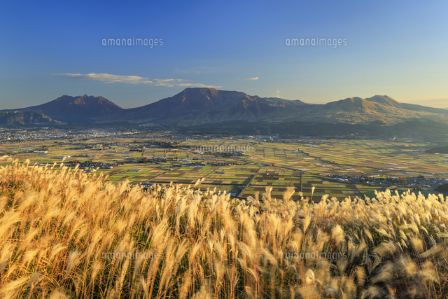 阿蘇山の夕暮れ春 大観峰から望む阿蘇山とススキの夕暮れ[01010047964]の写真・イラスト