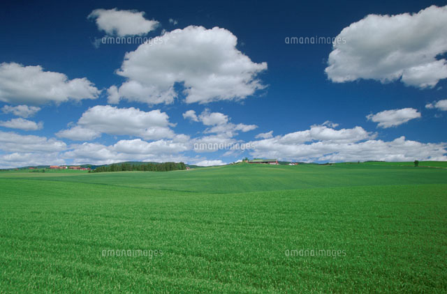 グブランスダールの草原と青空 ノルウェー[01068005861]の写真
