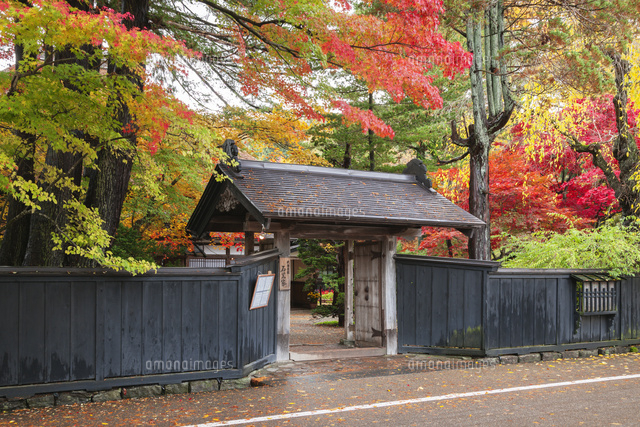 角館武家屋敷通りの石黒家と紅葉 の写真素材 イラスト素材 アマナイメージズ