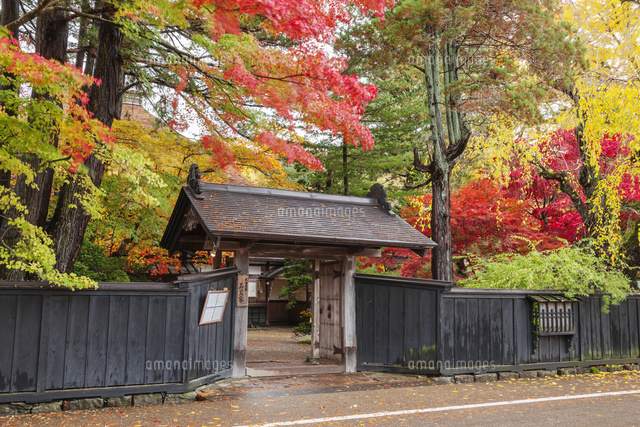 角館武家屋敷通りの石黒家と紅葉 の写真素材 イラスト素材 アマナイメージズ