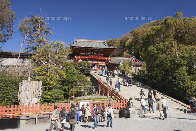 鶴岡八幡宮の大石段と随身門 の写真素材 イラスト素材 アマナイメージズ 鶴岡八幡宮の大石段と随身門 の写真素材 イラスト素材 アマナイメージズ