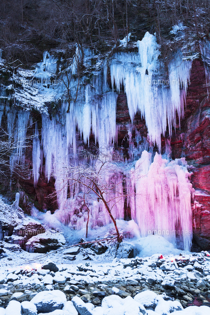 ライトアップされた三十槌の氷柱[01072019377]の写真・イラスト素材