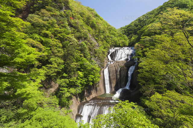 新緑の袋田の滝 の写真素材 イラスト素材 アマナイメージズ