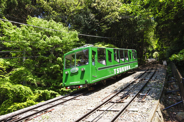 筑波山 絵葉書 茨城県 超特価sale開催 筑波山 絵葉書 茨城県 超特価sale開催