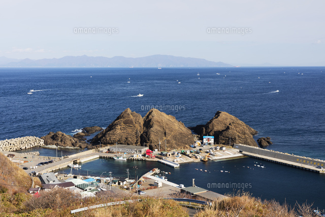 津軽海峡竜飛岬流木 【公式通販】