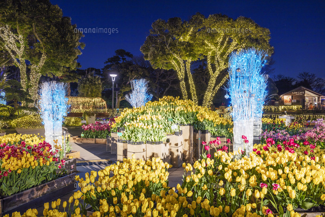 江の島サムエル コッキング苑 の写真素材 イラスト素材 アマナイメージズ