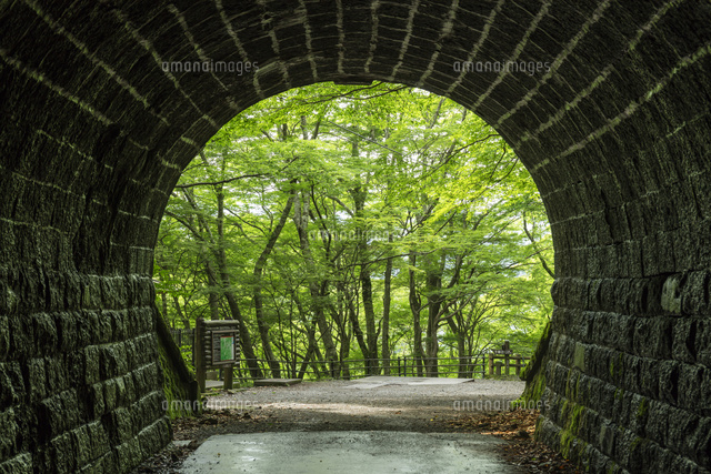 旧天城トンネル の写真素材 イラスト素材 アマナイメージズ