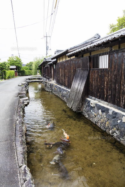 藍場川 の写真素材 イラスト素材 アマナイメージズ