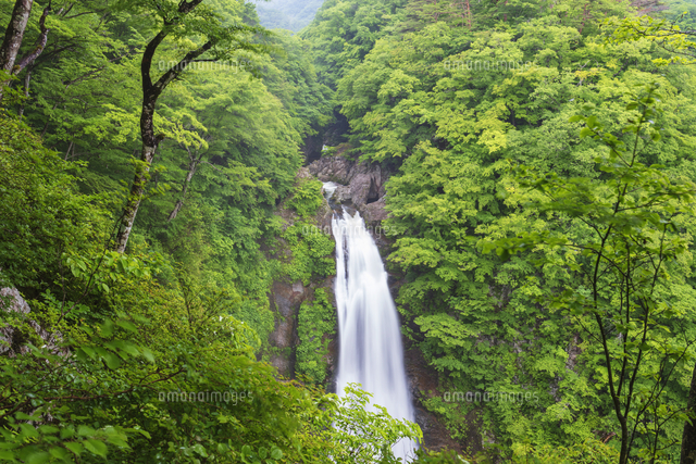 滝見台から望む秋保大滝[01072032747]の写真・イラスト素材｜アマナ