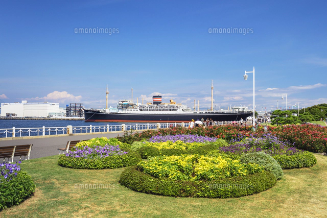 山下公園とベイブリッジ[01072038781]の写真・イラスト素材｜アマナ