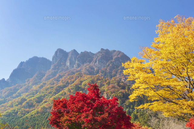紅葉の妙義山第四石門と大砲岩[01072042475]の写真・イラスト