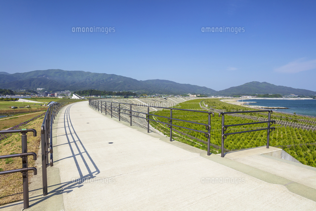 高田松原津波復興祈念公園の巨大防潮堤[01072044095]の写真・イラスト