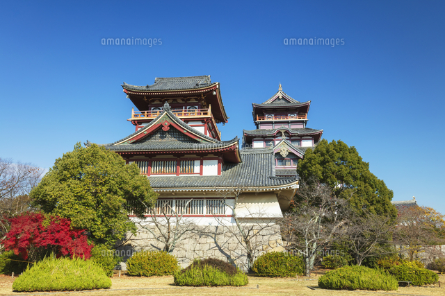 伏見桃山城[01072046069]の写真・イラスト素材｜アマナイメージズ