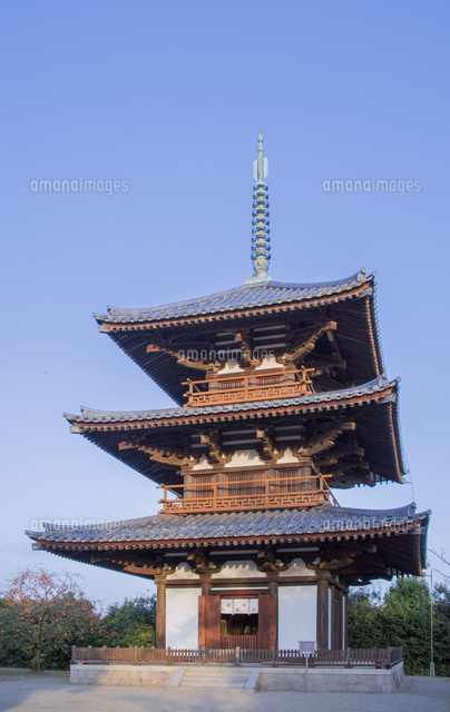 法起寺の夕日をあびる三重塔[01109092355]の写真・イラスト素材