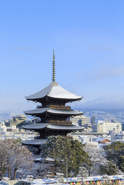 雪の東寺五重塔 の写真素材 イラスト素材 アマナイメージズ