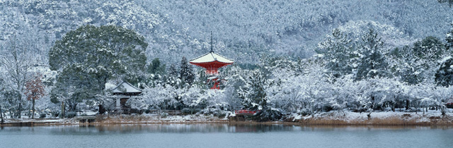 雪の大沢池と多宝塔 右京区嵯峨 京都[01225003233]の写真素材 