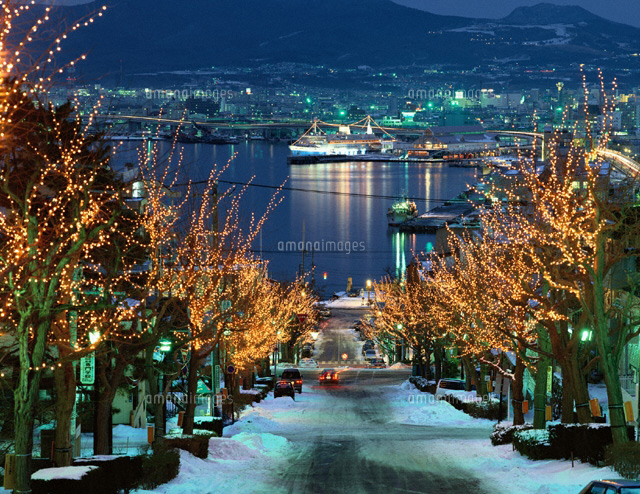 八幡坂イルミネーション 函館市 北海道 の写真素材 イラスト素材 アマナイメージズ