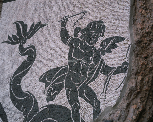 カラカラ浴場のモザイク画 ローマ イタリア[01308017624]の写真