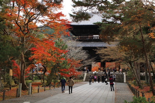 臨済宗南禅寺派の大本山南禅寺[01417001372]の写真素材・イラスト素材｜アマナイメージズ